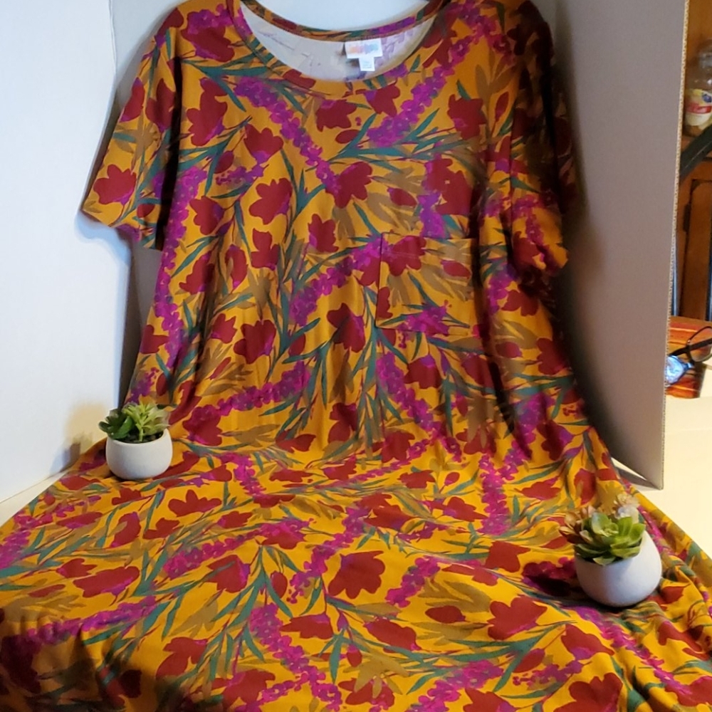 LulaRoe 3x Tshirt Dress